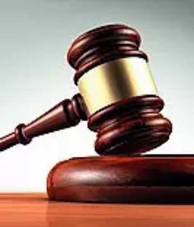 STs following Hindu customs can't be excluded from Hindu marriage law: High court