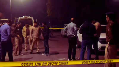  Man burned alive by ex live-in partner, her newly-wed husband in Agra