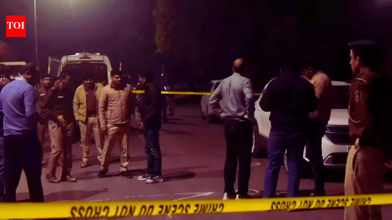 'Refused to delete photos of her': Man burned alive by ex live-in partner, her newly-wed husband in Agra