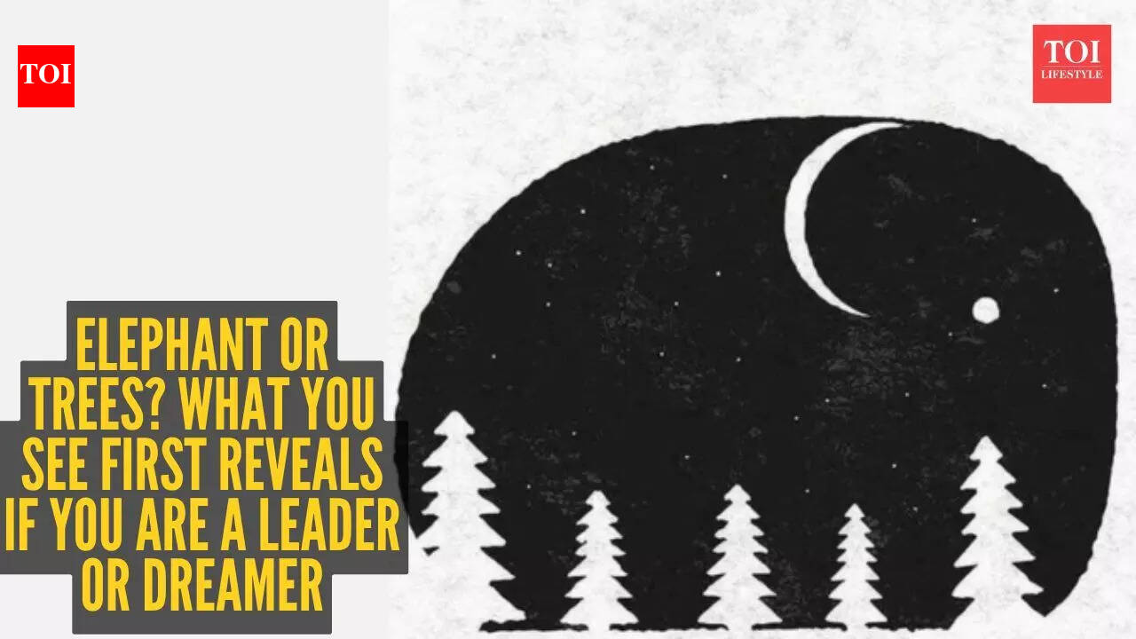 Optical illusion personality test: Elephant or trees? What you see first reveals if you are a leader or dreamer