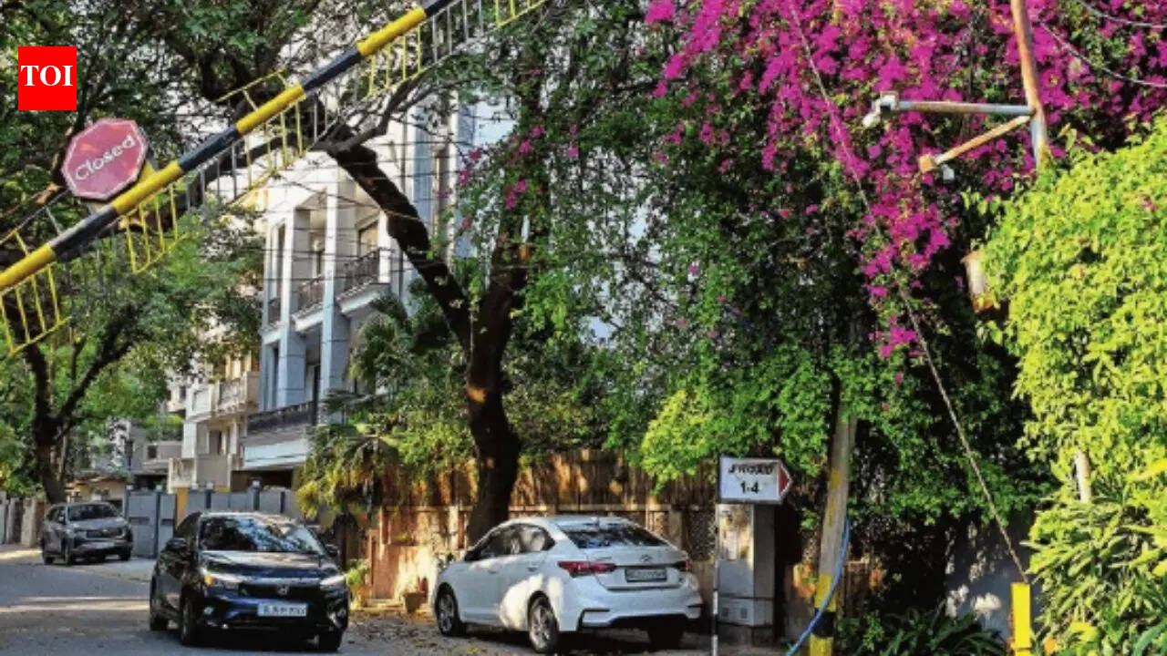 Delhi’s Maharani Bagh: Infra stretched in green, thoughtfully planned colony