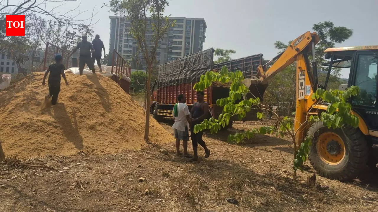 3-acre Mumbai's Marol ground along Mithi to become urban forest