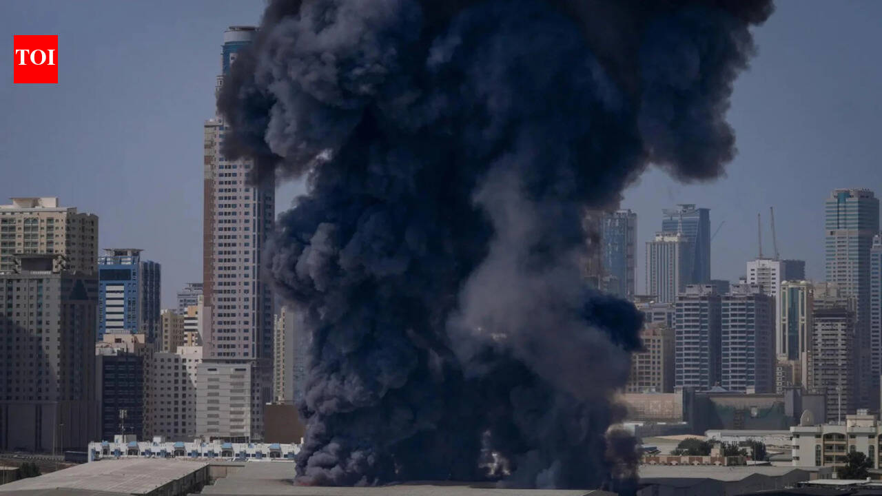 Left to fend for themselves? Gulf allies claim US gave no warning before strikes