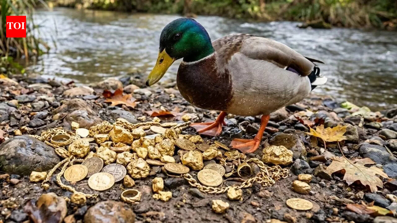 This Chinese villager found 10 grams of gold inside a Duck worth $1,800, sparking viral sensation online