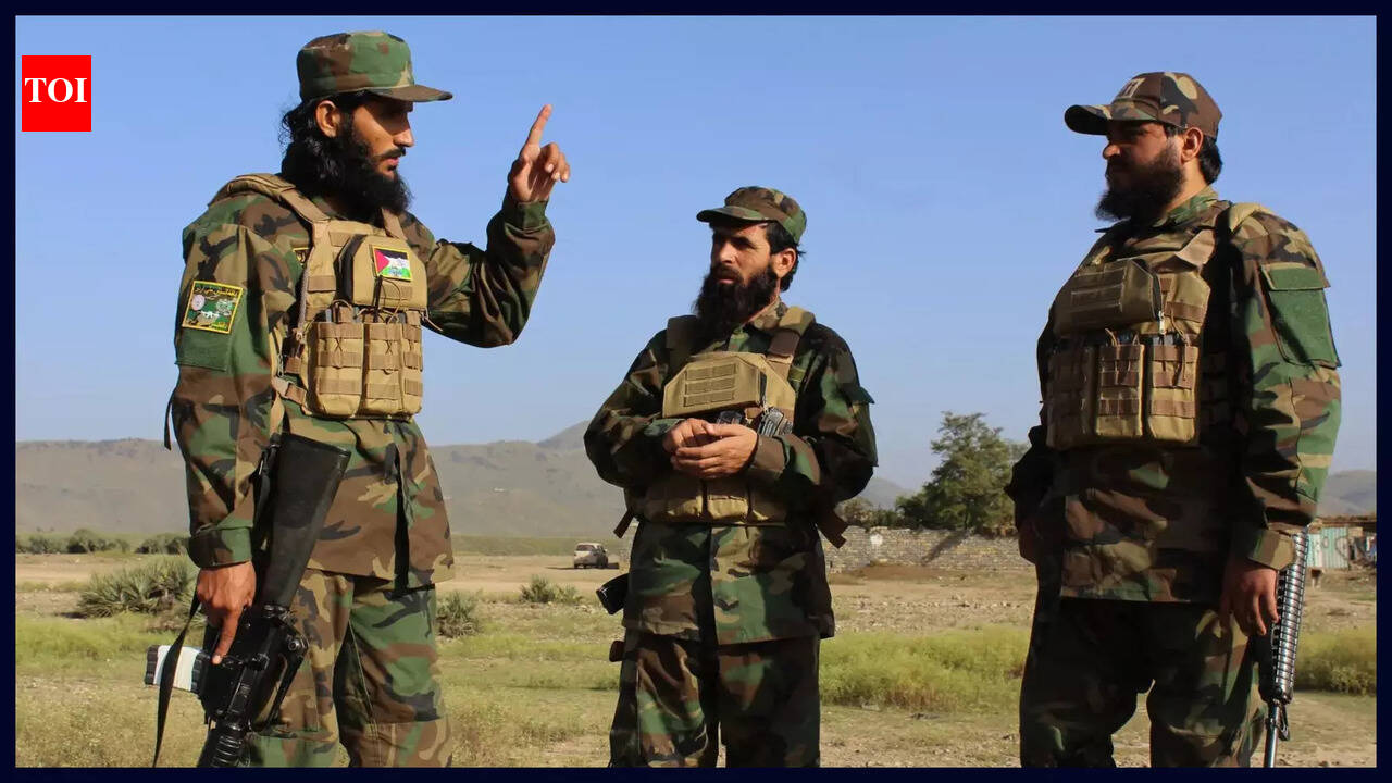 The other war next door: Why Pakistan–Taliban conflict matters for India