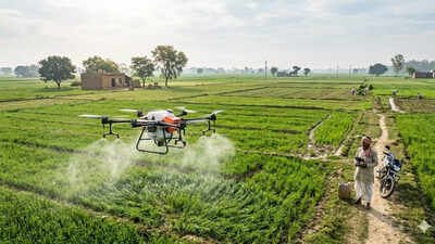 Shift from traditional to technology-driven farming - UP sees surge in agricultural productivity