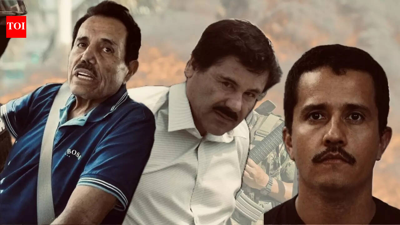 Inside the paradox of Mexico's never-ending war on drugs