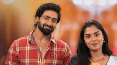 Lakshmi Priya and Swaminathan Anantharaman starrer 'Mahanadhi' completes 800 episodes