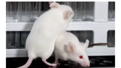 TN biotech firm to end all experiments on animals, to use virtual simulation software