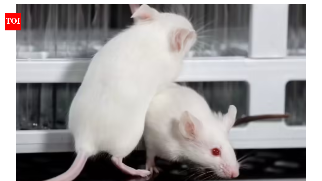 TN biotech firm to end all experiments on animals, to use virtual simulation software