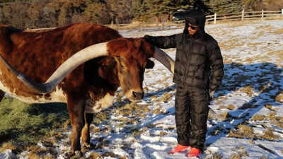  “I didn’t name him, I swear.”