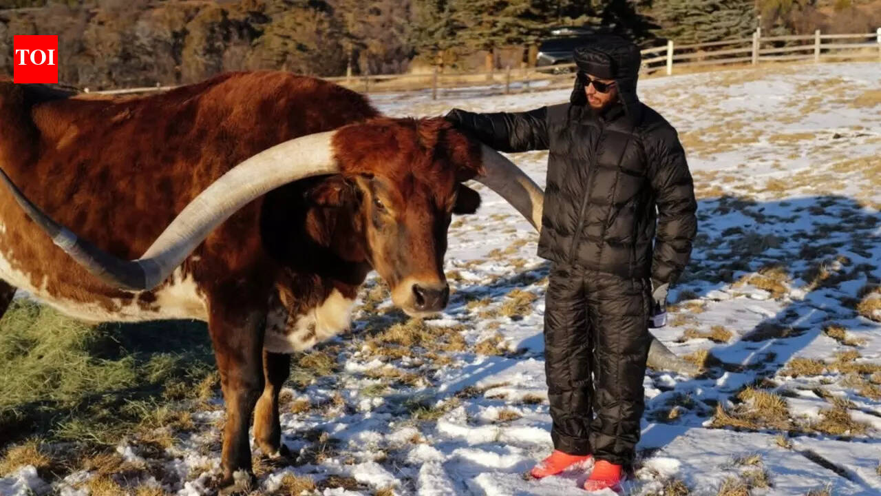 F1 fans react as Lewis Hamilton reveals he has a cow named Max: “I didn’t name him, I swear.”