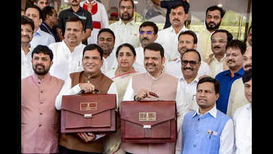 Maharashtra budget bets on water security, green cover as El Nino threat looms