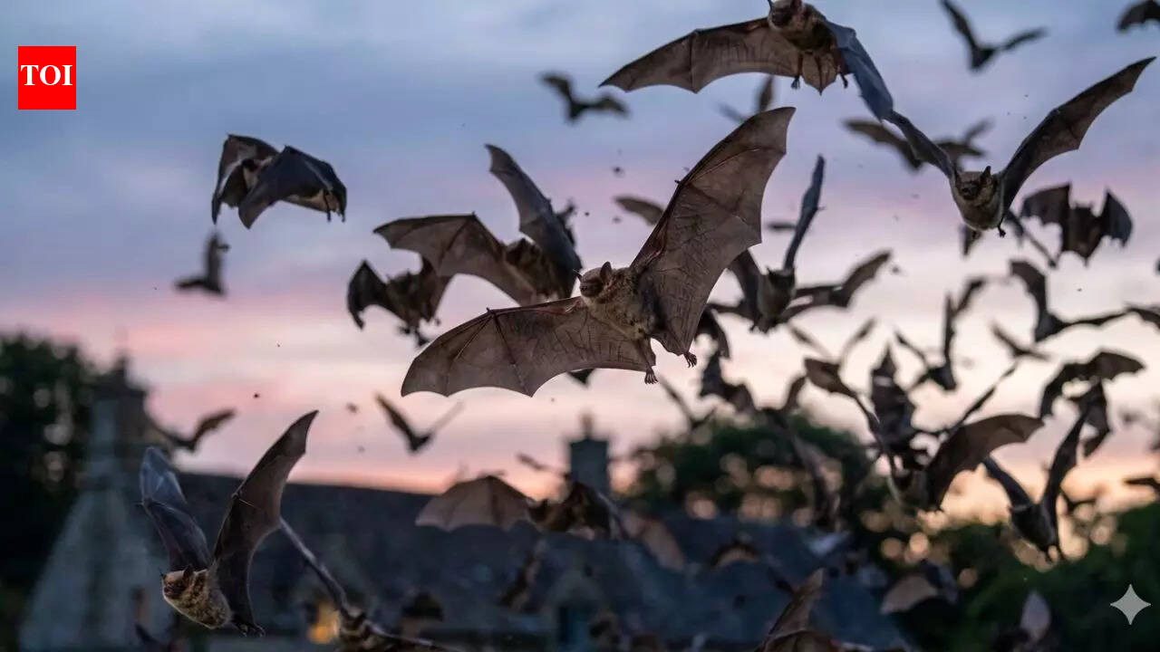 Ever wondered why bats keep returning to your garden after dark; here’s the surprising secret they hold