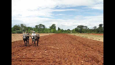 Maharashtra budget: More support for free farm power; plan to expand clean energy