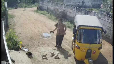 Woman kills puppies to avenge her neighbour