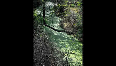 Sewage inflow creates kilometre-long pool inside JNU