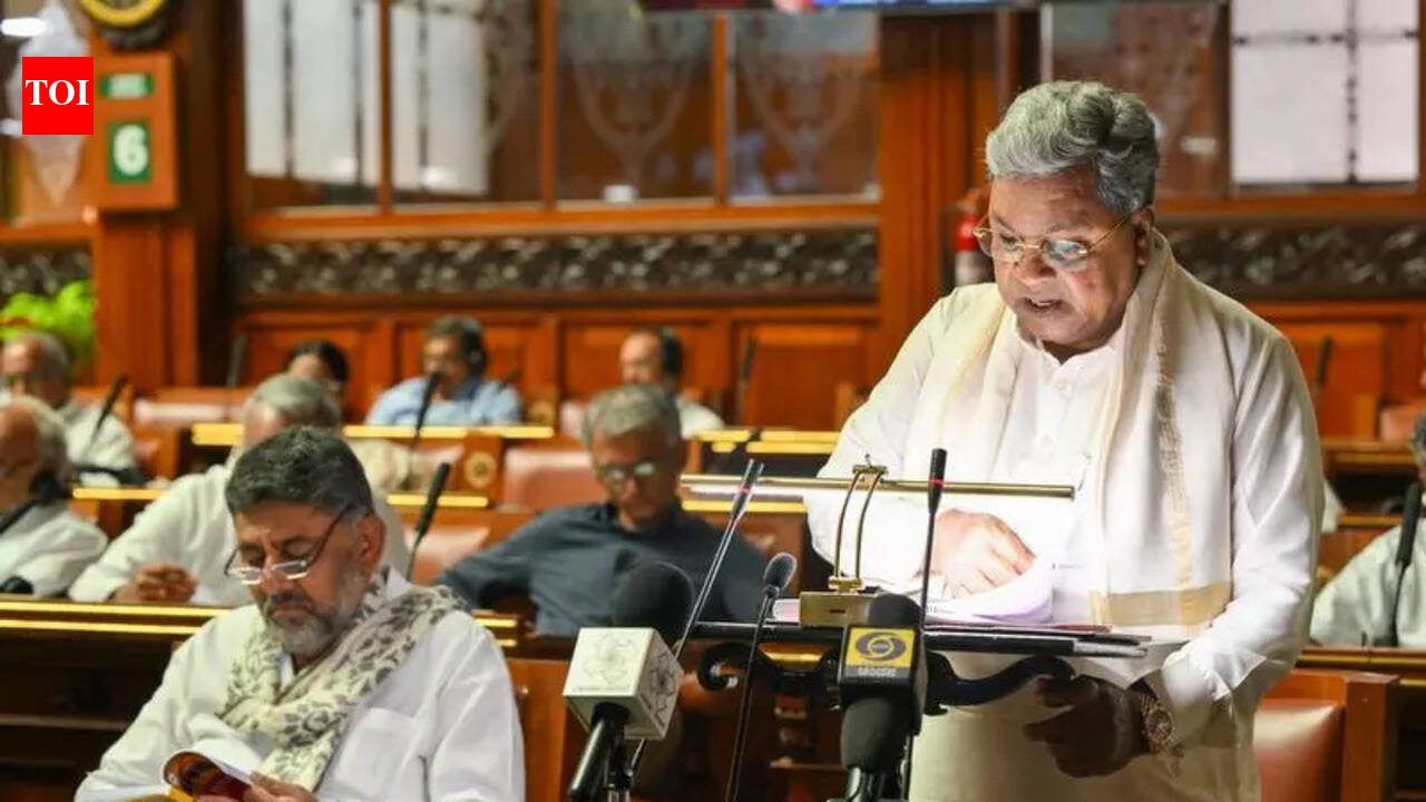 Karnataka budget: Pressing AI accelerator to boost farming, education &amp; more