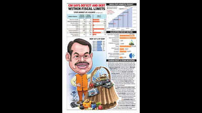 Maharashtra budget: Govt fulfils poll promise, announces farm loan waiver