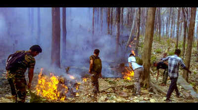 Satellite images help control fires in 5 places in Jamshedpur forest division
