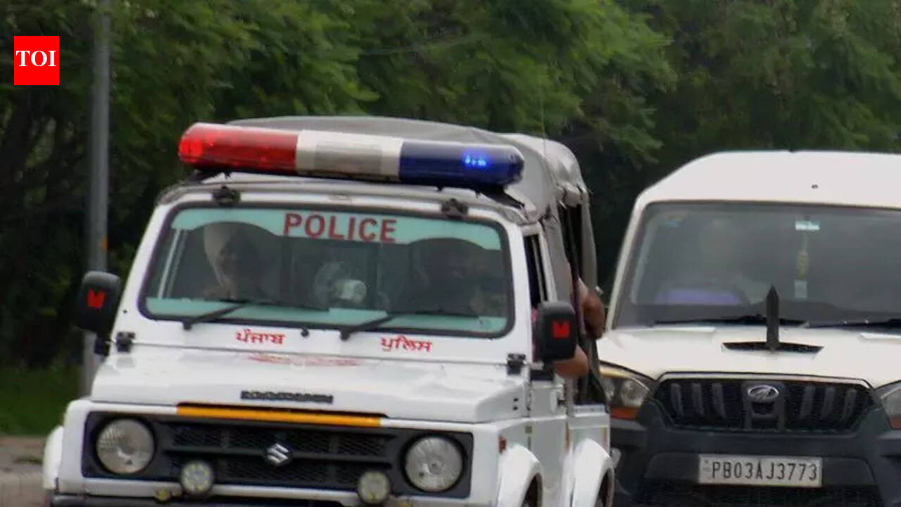 Extortion, threat calls: Punjab cops add 70k voice samples to app in 4 months