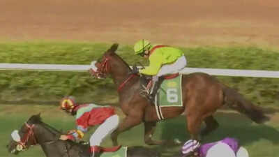 Your Unforgettable fancied for feature