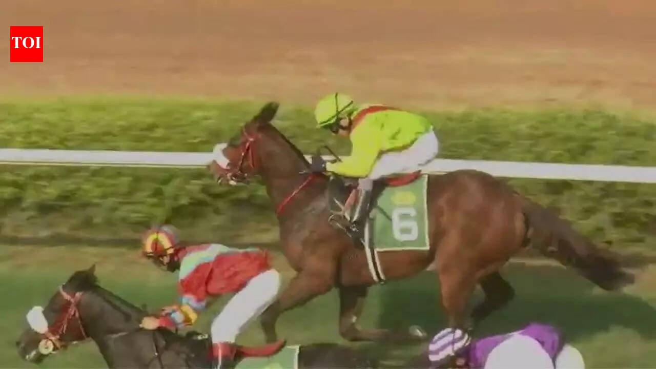 Your Unforgettable fancied for feature