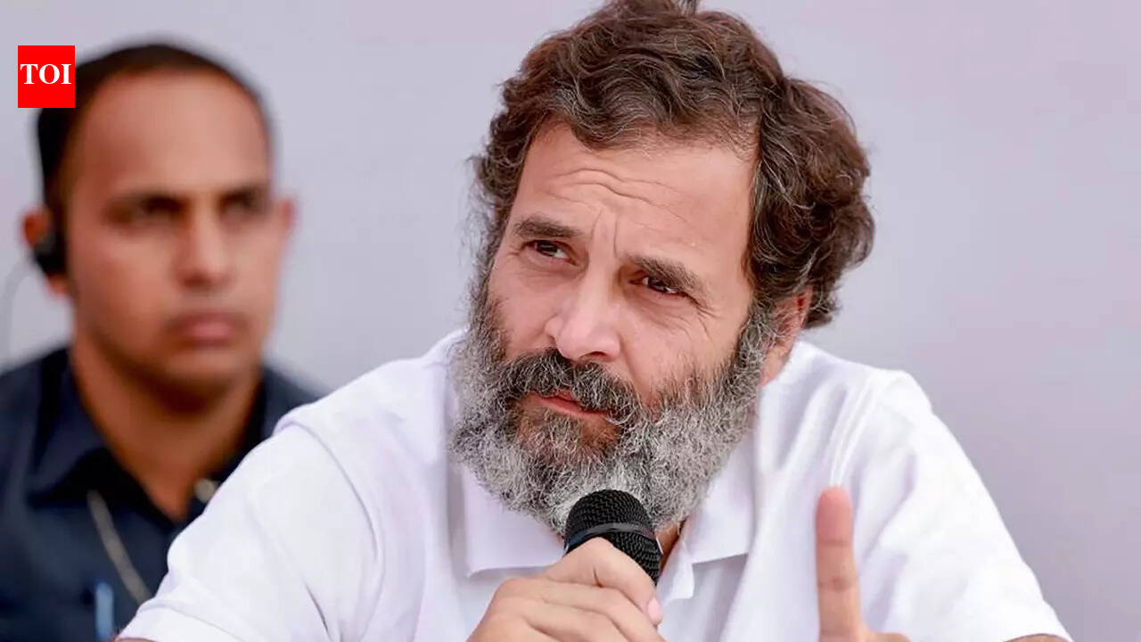 'Nobody's really watching The Kerala Story': Rahul Gandhi criticises weaponisation of cinema and media