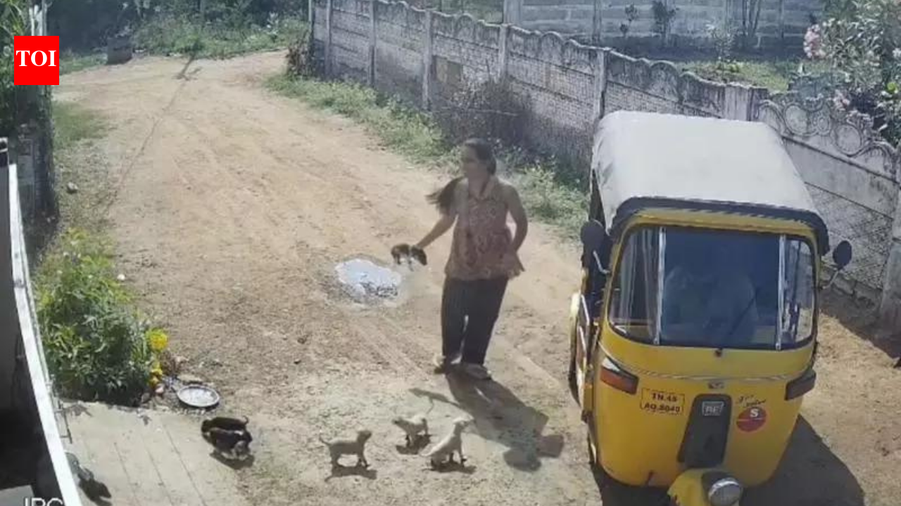 In rage after neighbour hurt her son, Trichy woman hurls puppies against wall; 2 die