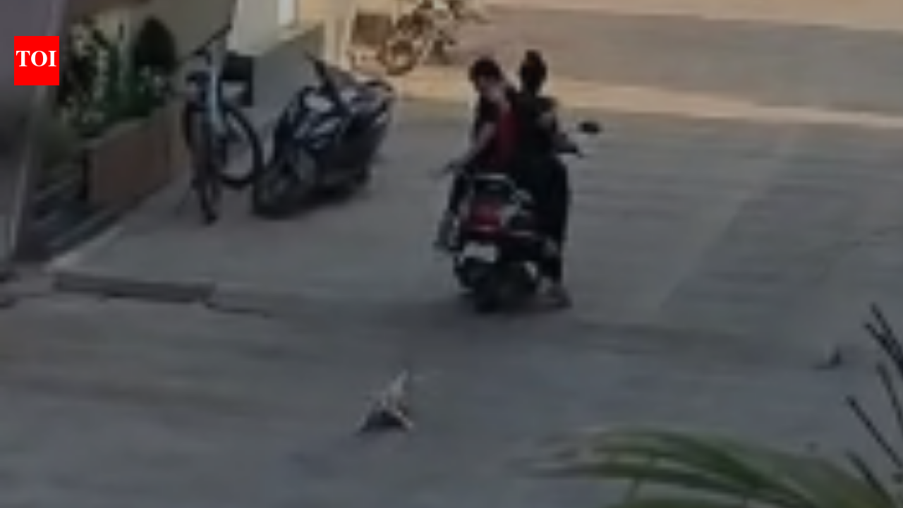 2 women drag street dog behind scooter in Ratlam; FIR filed