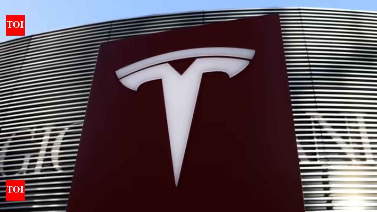 Tesla wins labour dispute at German factory