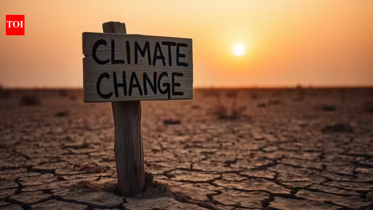 India’s climate-health reporting stands out in global study