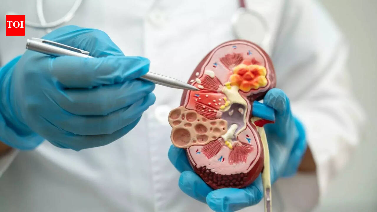 Self-medication with common painkillers may cause silent kidney damage, doctor warns: Simple steps to protect your health