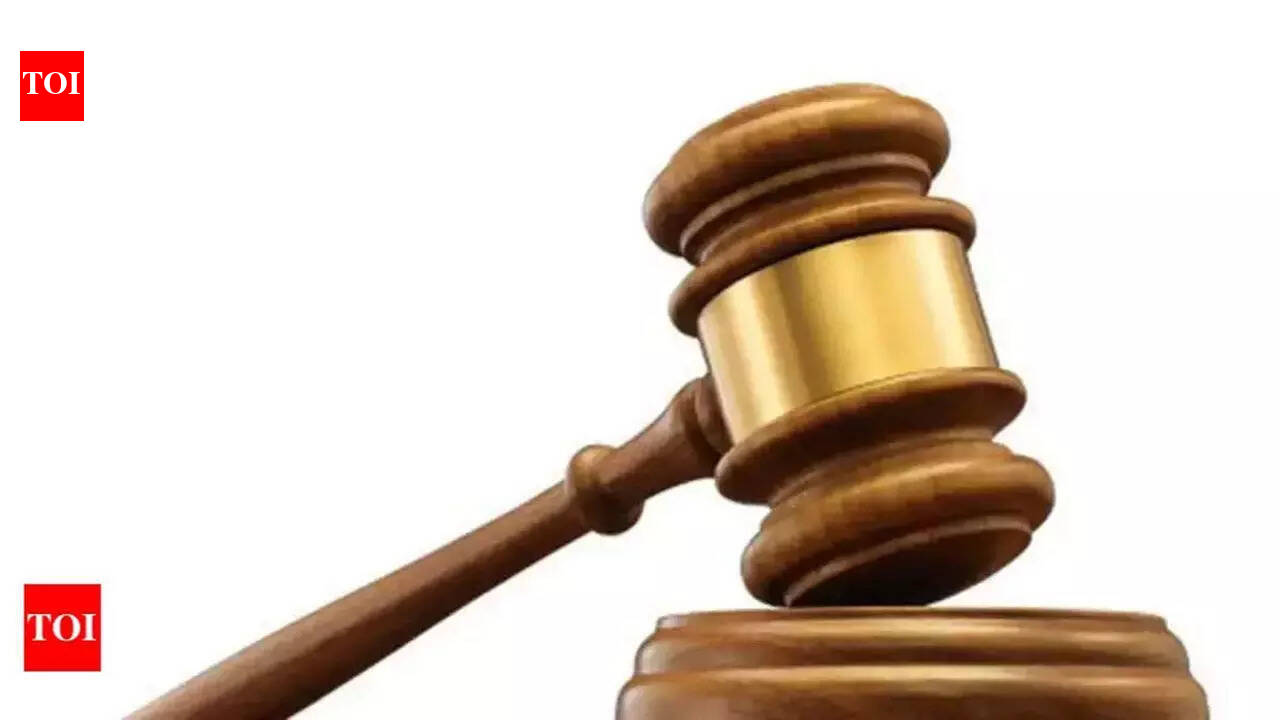 Three get life term in Coimbatore college student gang rape case