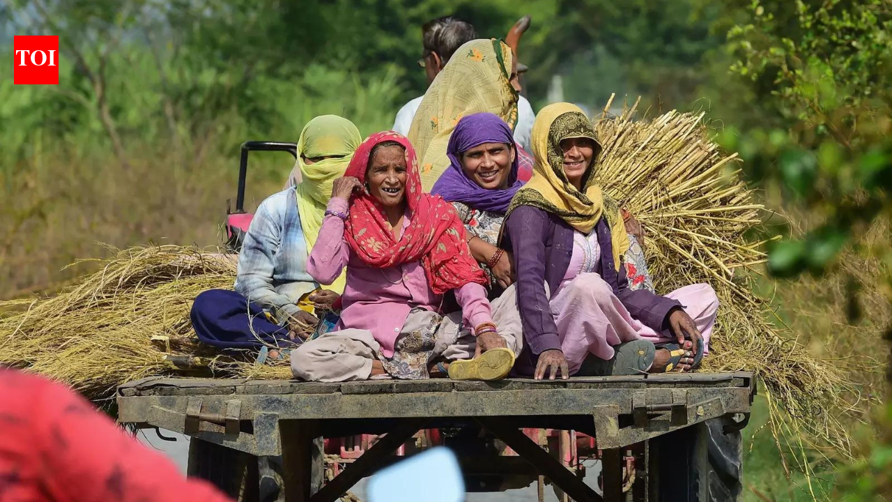 From SHGs to drone technology: Inside India’s growing push for women’s economic empowerment