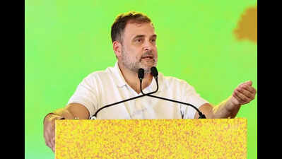 Rahul promises free travel for all women