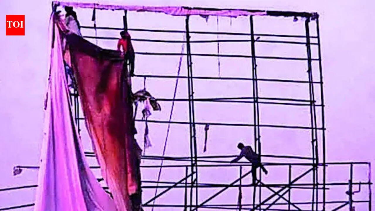 Govt cracks down on 11k illegal hoardings, collects Rs20 lakh in fines