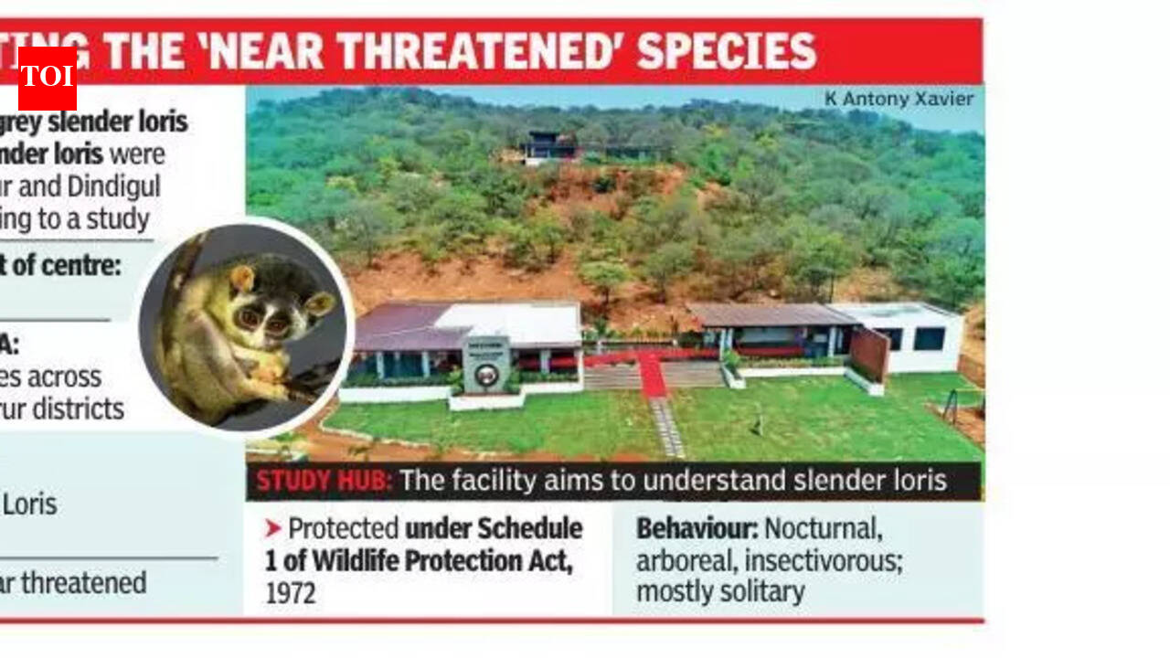 India’s 1st slender loris conservation centre opens in Dindigul