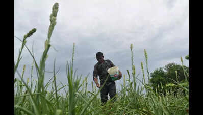 Policy push needed to scale up natural farming, say experts