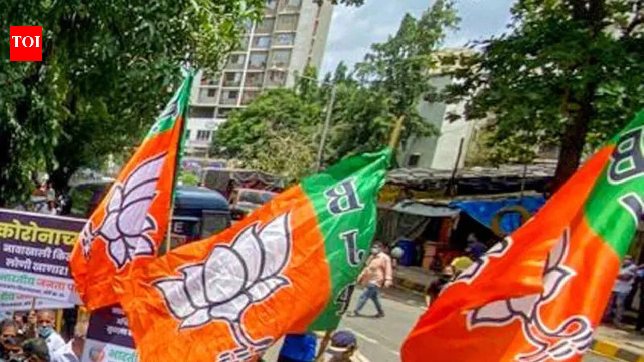 BJP-RSS deliberations focus on Sangh, sangathan & sarkar | Lucknow News ...