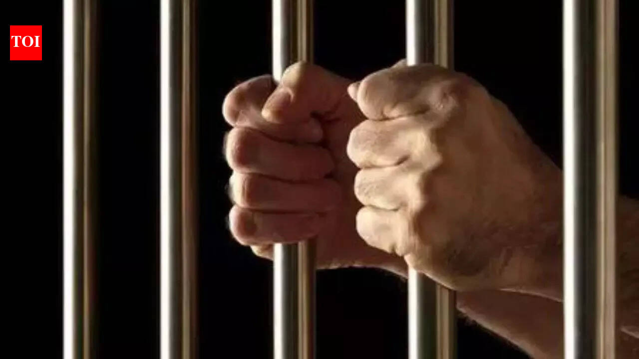 Jammu and Kashmir: 2 mobiles, being smuggled inside jail, recovered in Doda