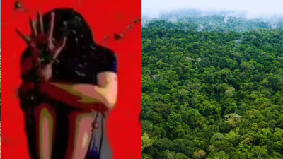 'He diverted onto another road': Delhi tourist spends night hiding in Nainital forest after rape bid by taxi driver