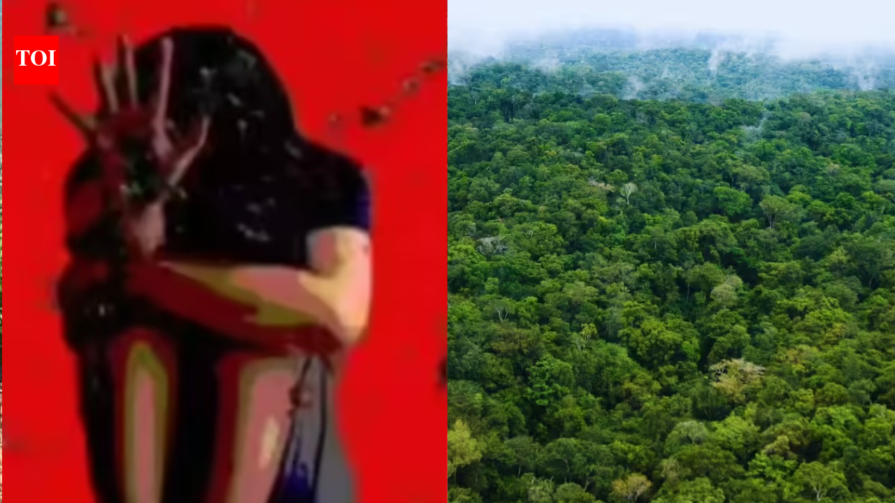 Delhi tourist spends night hiding in Nainital forest after rape bid by taxi driver