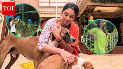  Sakshi Tanwar, Rupali Ganguli and more