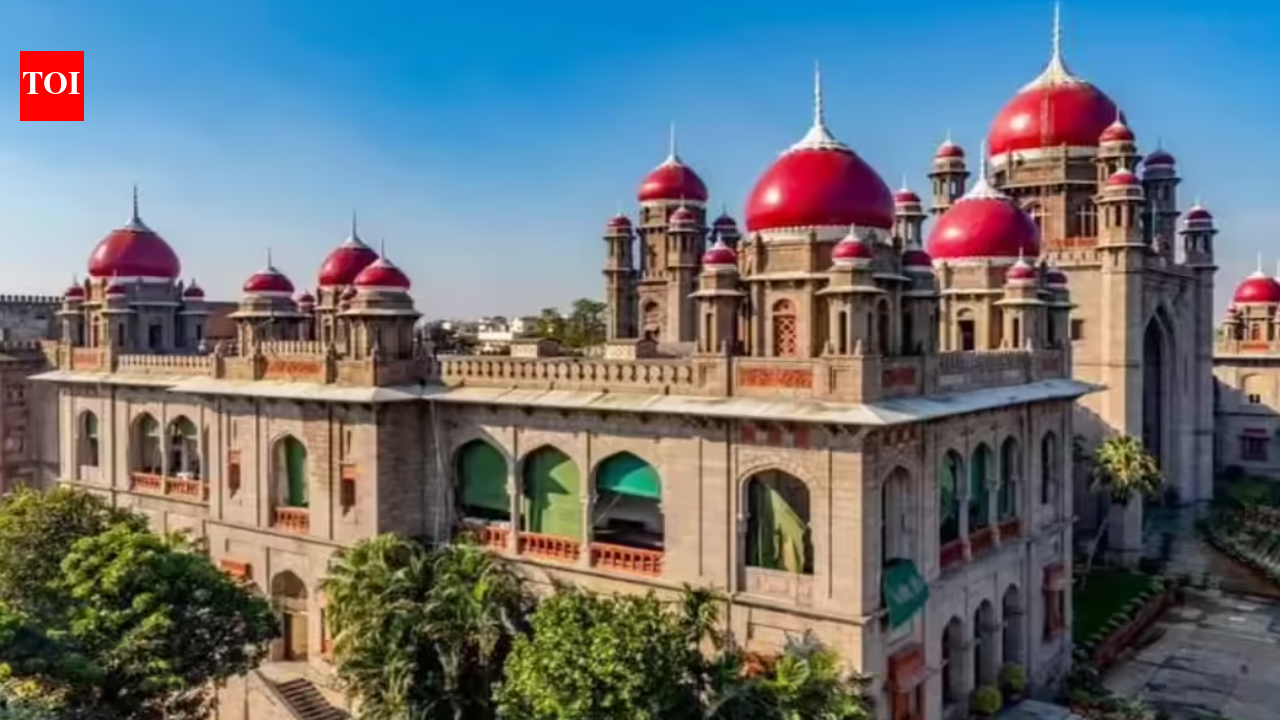 'Couple can't be denied benefit of law over anomaly': Telangana high court allows surrogacy for woman with CAIS condition