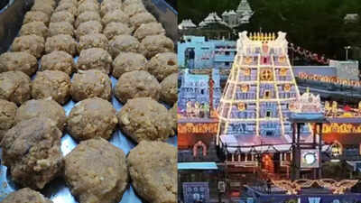  YSRCP accuses CM Chandrababu Naidu of engineering Tirupati laddu row to hide Rs 200-crore ghee scam