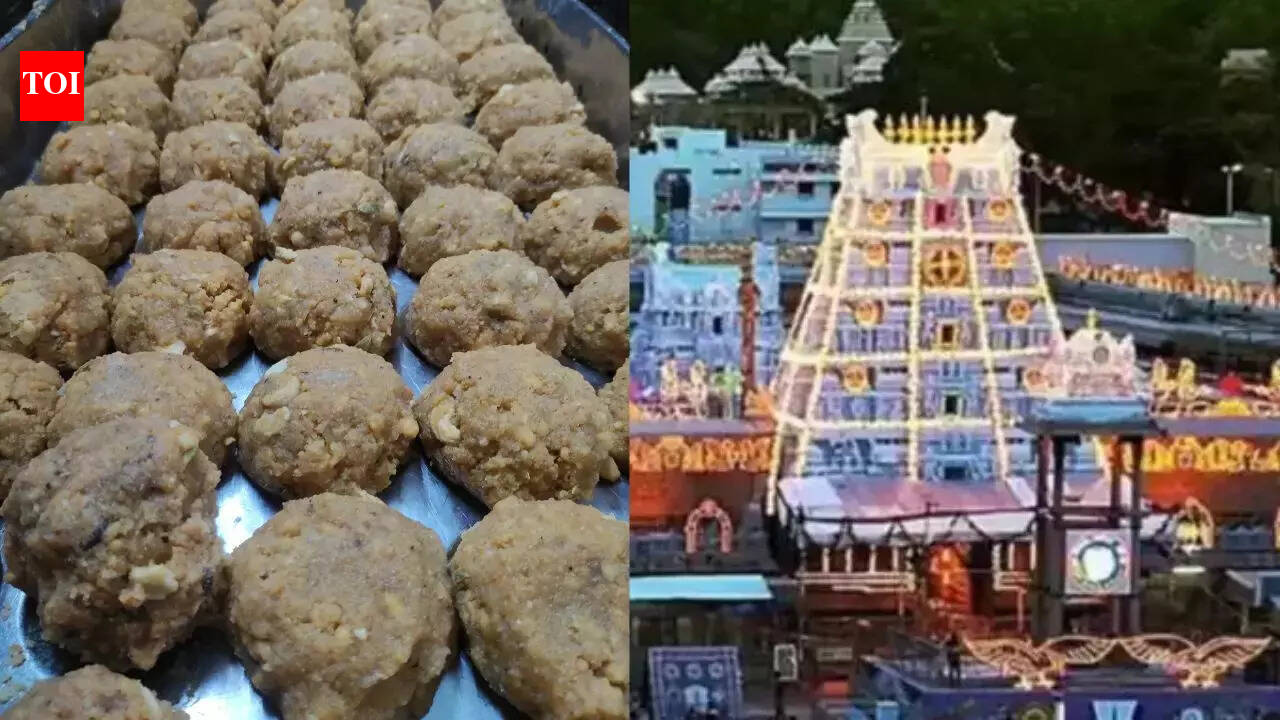 'Larger conspiracy': YSRCP accuses CM Chandrababu Naidu of engineering Tirupati laddu row to hide Rs 200-crore ghee scam
