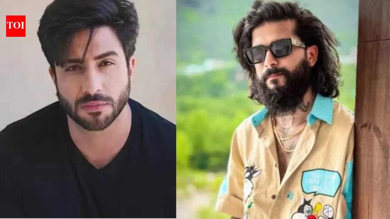 Aly Goni reacts to Anurag Dhobal’s recent Instagram Live amid fallout with family; says, ‘It’s a sad reality’