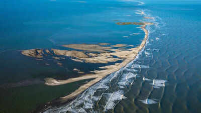 பெருங்கடல்களை விஞ்ஞானிகள் தவறாகக் கணக்கிட்டார்களா? நூற்றுக்கணக்கான ஆய்வுகளின் புதிய பகுப்பாய்வு கவலைகளை எழுப்புகிறது