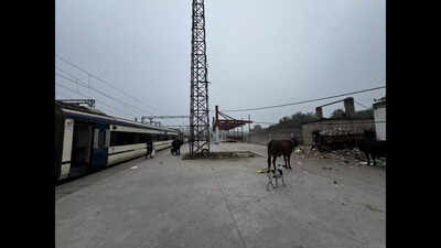 Multiple ‘platform 1s’ at Gaya station confuse passengers